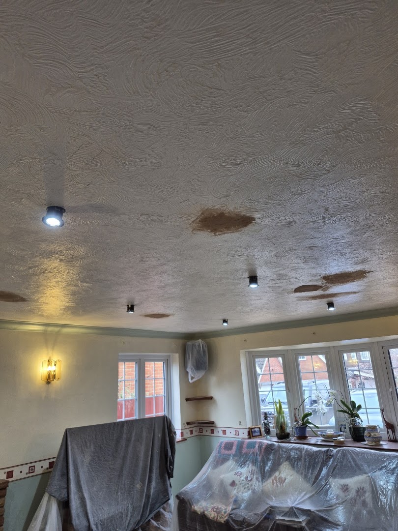 Plaster It · Photos 4