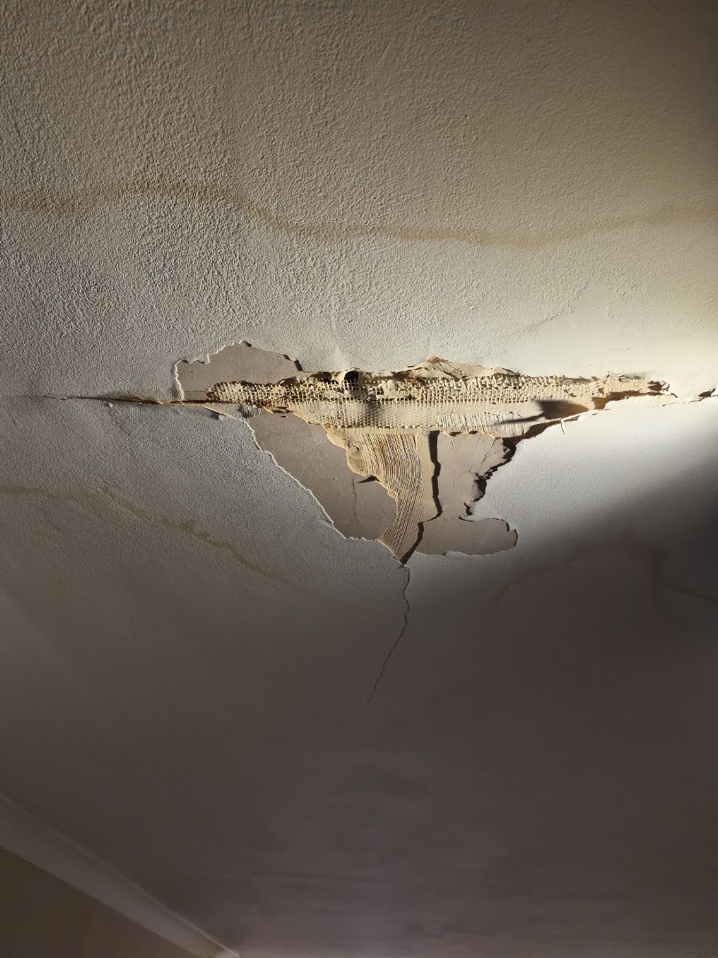 Plaster It · Photos 7